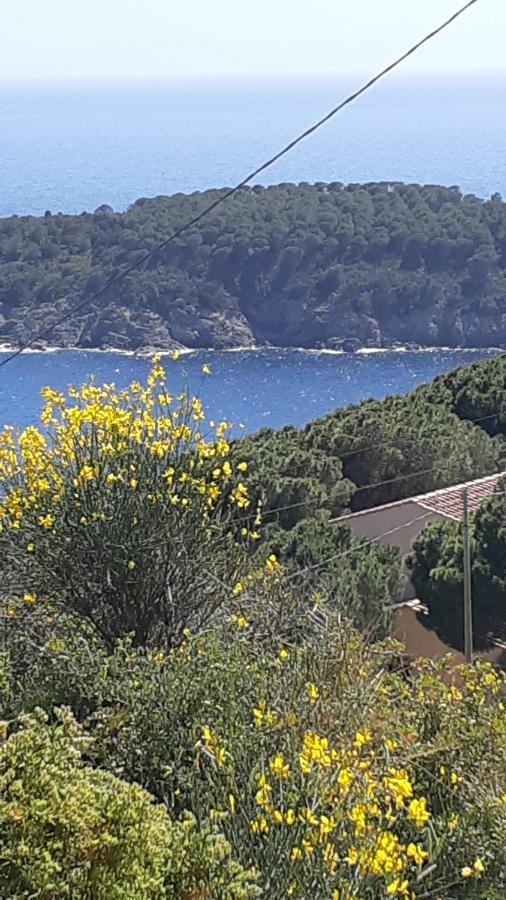 Residence La CalleIsola D'Elba エクステリア 写真