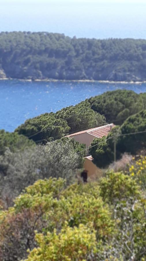 Residence La CalleIsola D'Elba エクステリア 写真