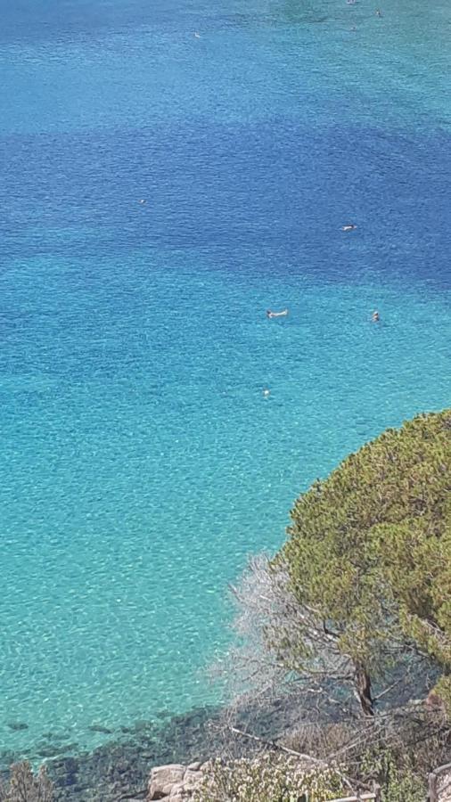 Residence La CalleIsola D'Elba エクステリア 写真