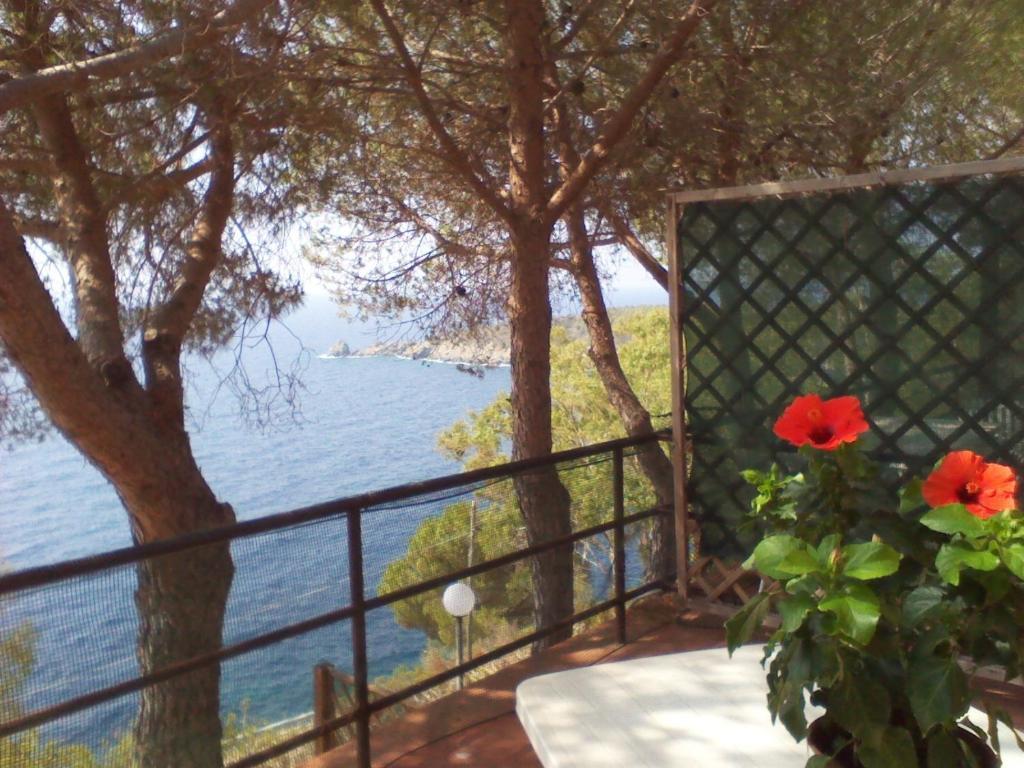 Residence La CalleIsola D'Elba エクステリア 写真